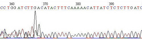 heterogene2